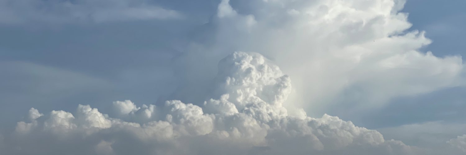 leonardo_grnvld's profile banner image