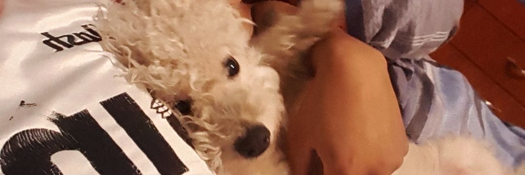 FrancooCazal's profile banner image