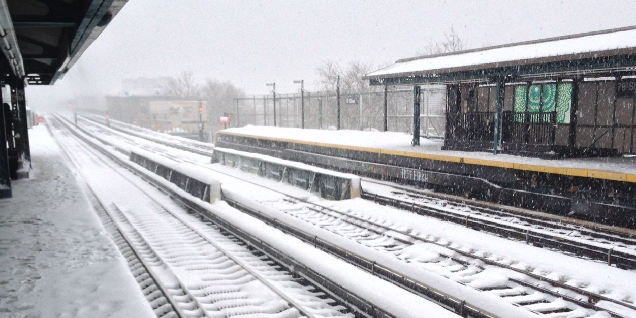 Amanda D'Acierno banner