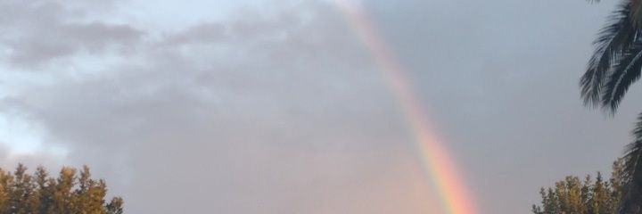 JereCesaretti's profile banner image