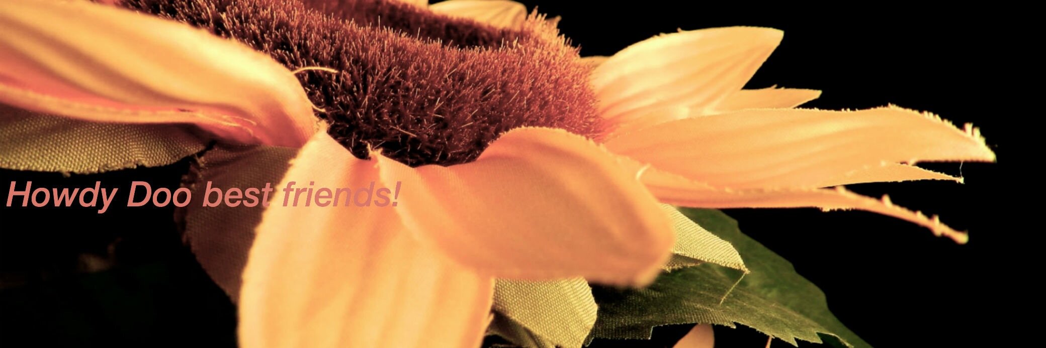 ktsny18's profile banner image