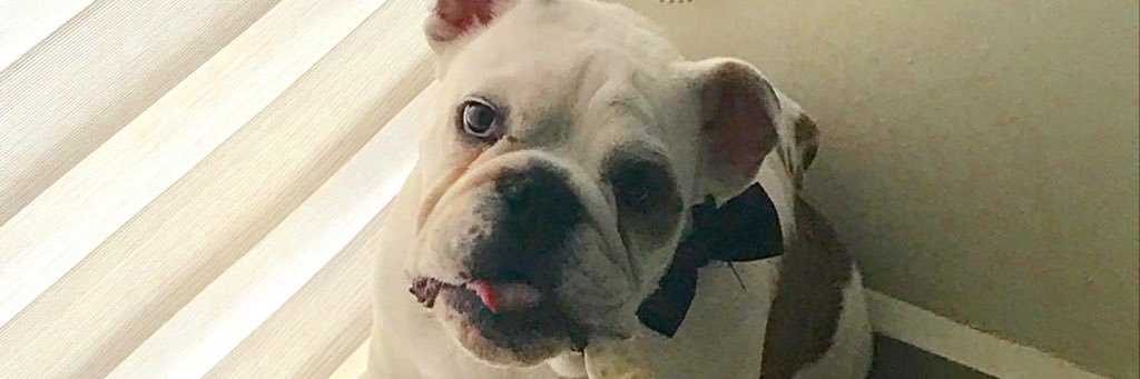 hernandez120994's profile banner image