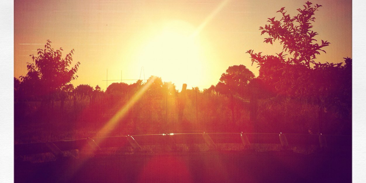 Wie Daniel am Ende wie Michelle Schifffahrerin banner