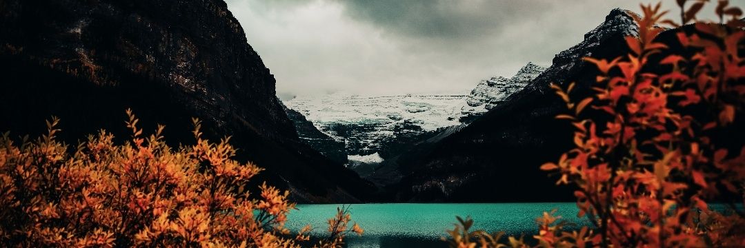 traceybiekx's profile banner image
