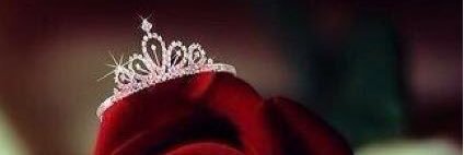 malak_f_ald's profile banner image