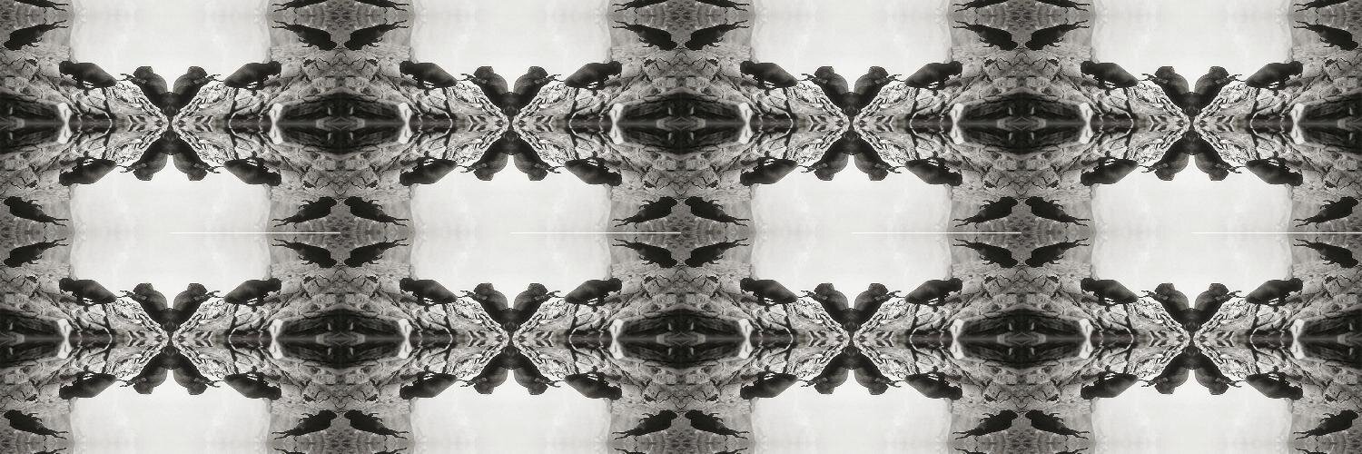 Prestonbuffalo's profile banner image