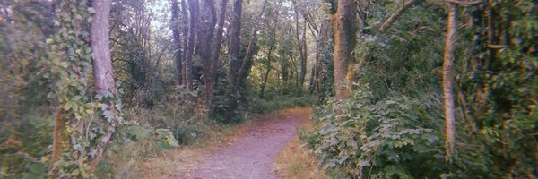 enbiebrit Profile Banner