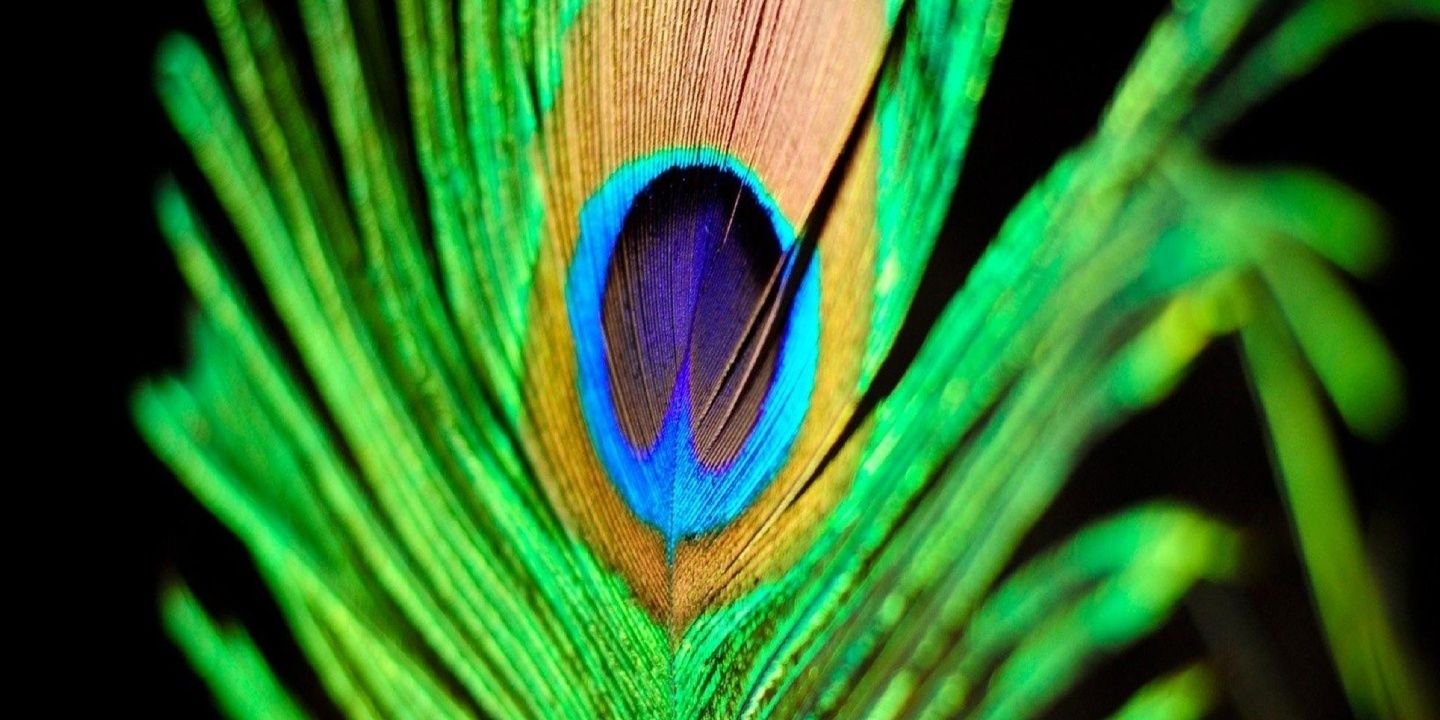 jess_socool's profile banner image