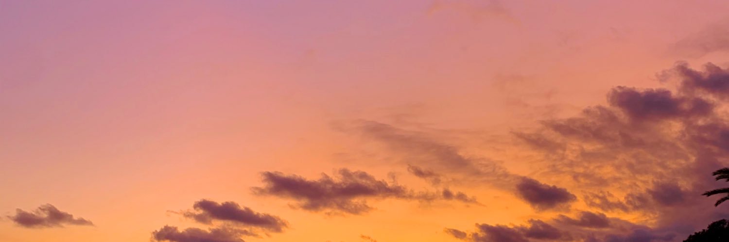 biancsbastida's profile banner image