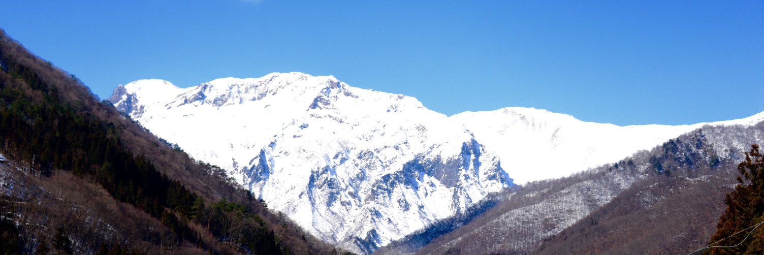 クシミタマ banner