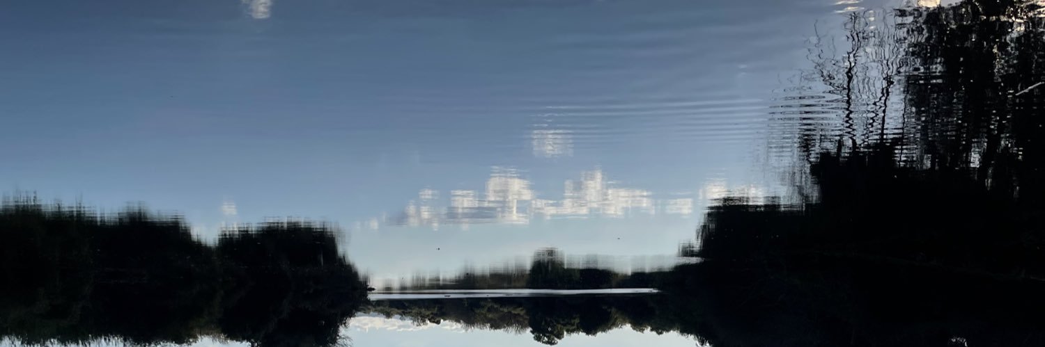 killdigas's profile banner image