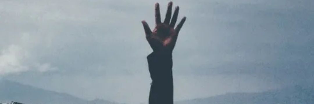Alawii 6776 banner