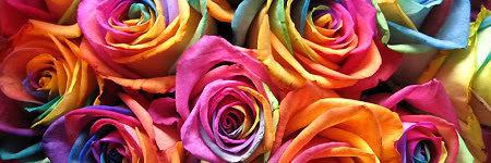 Nikoll_95's profile banner image