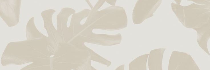 camicabcc's profile banner image