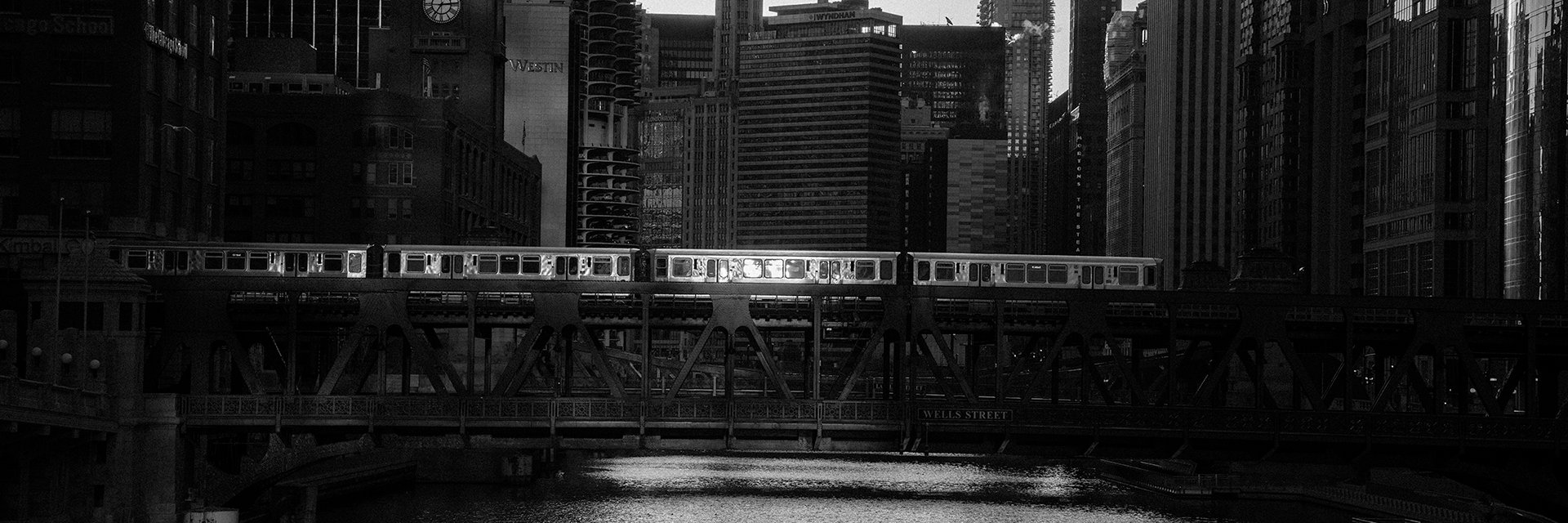 Cindy Dampier banner