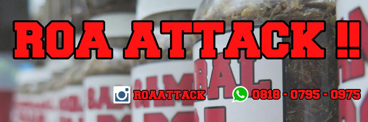 roa_attack's profile banner image