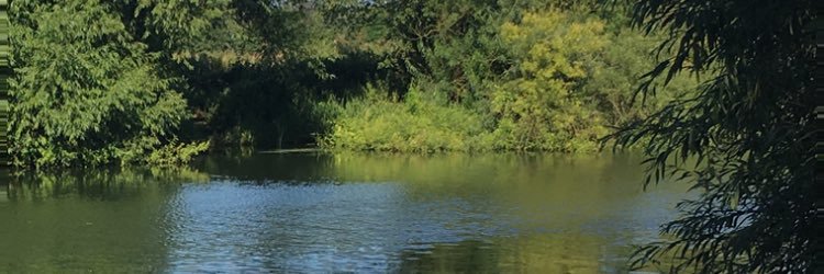 robjoness's profile banner image