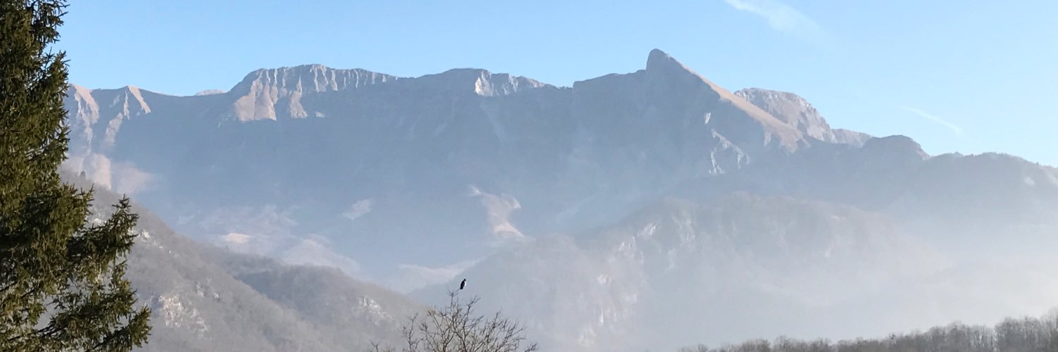 Nusa Urbancic banner