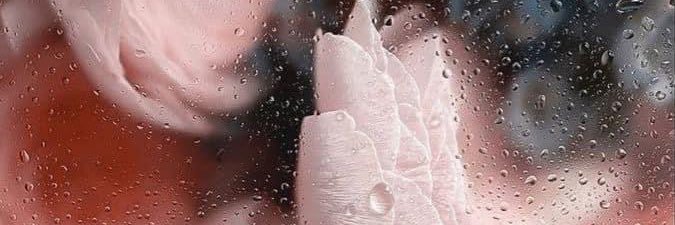 __jesse__99's profile banner image