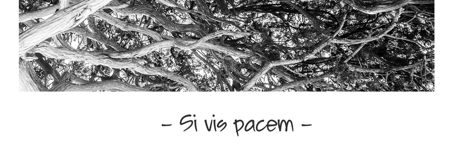 LaKylaB's profile banner image