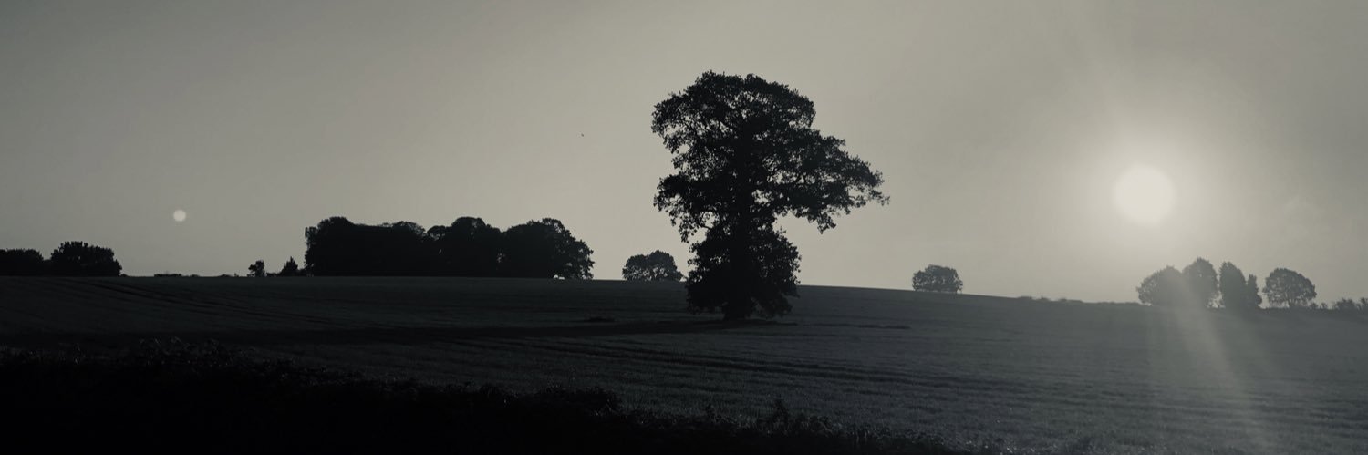 BethRoseM's profile banner image