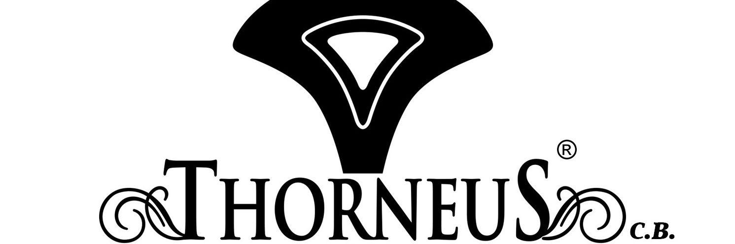 DistrThorneus's profile banner image