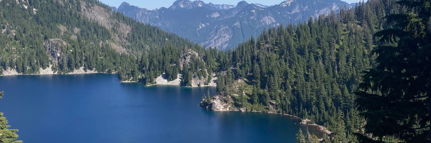 Parella Lewis banner