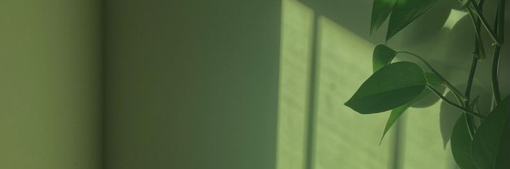 94klaing's profile banner image