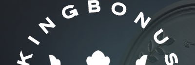 Svippi 🇳🇴 banner