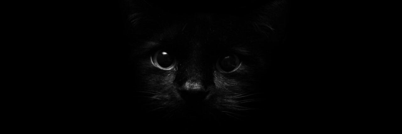 wickedmaye's profile banner image