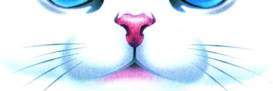 grossilisa's profile banner image