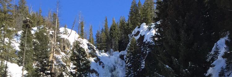 Jaci Fichter banner