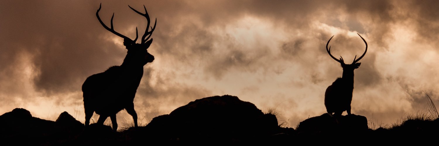 GraemeBoath1's profile banner image