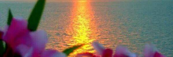 Quranicthoughts's profile banner image