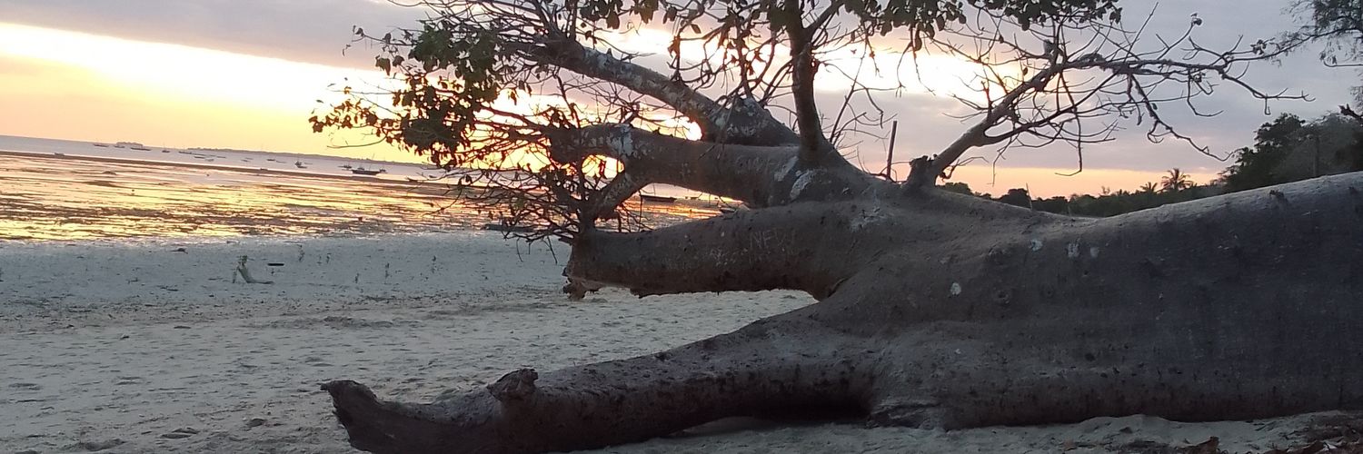 MashingoJ's profile banner image