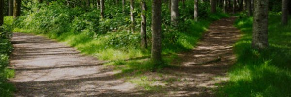 FrequentTweets Profile Banner