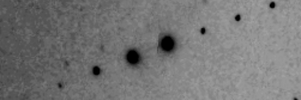 cuemolnohito Profile Banner