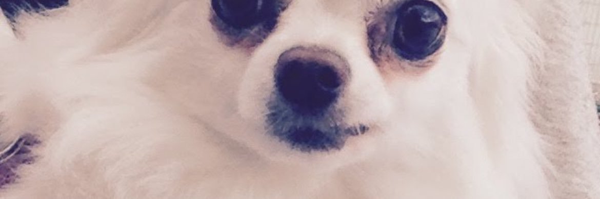 ナッパちゃん banner