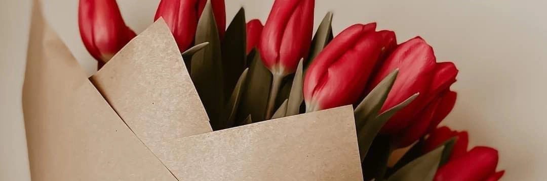 سناعيس شمر banner