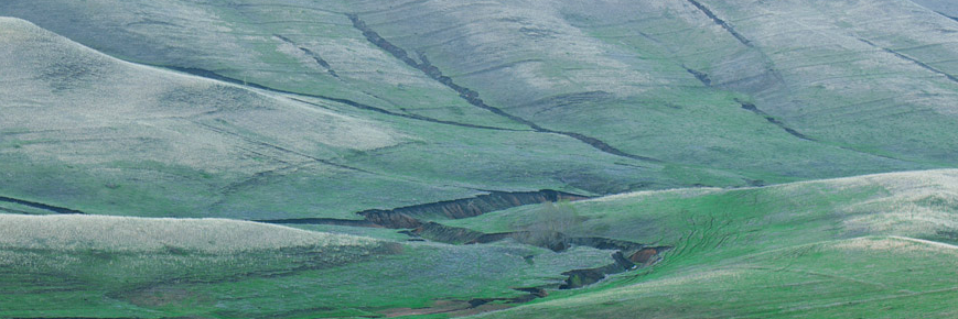 Свободолюбивый Перепечь banner