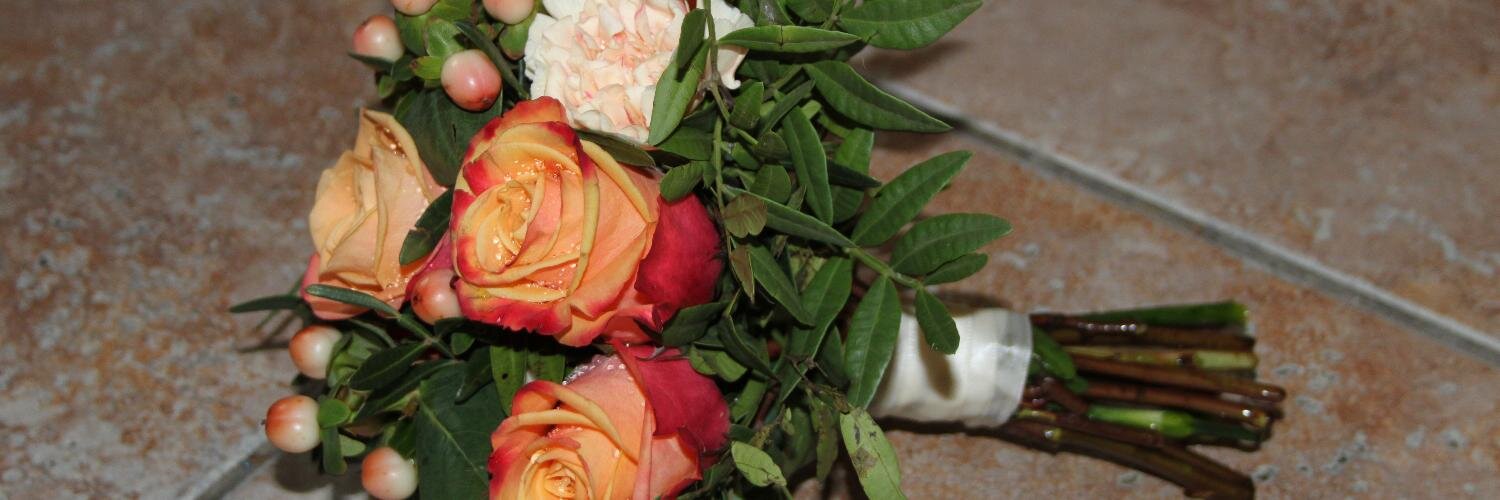 petalscornwall's profile banner image
