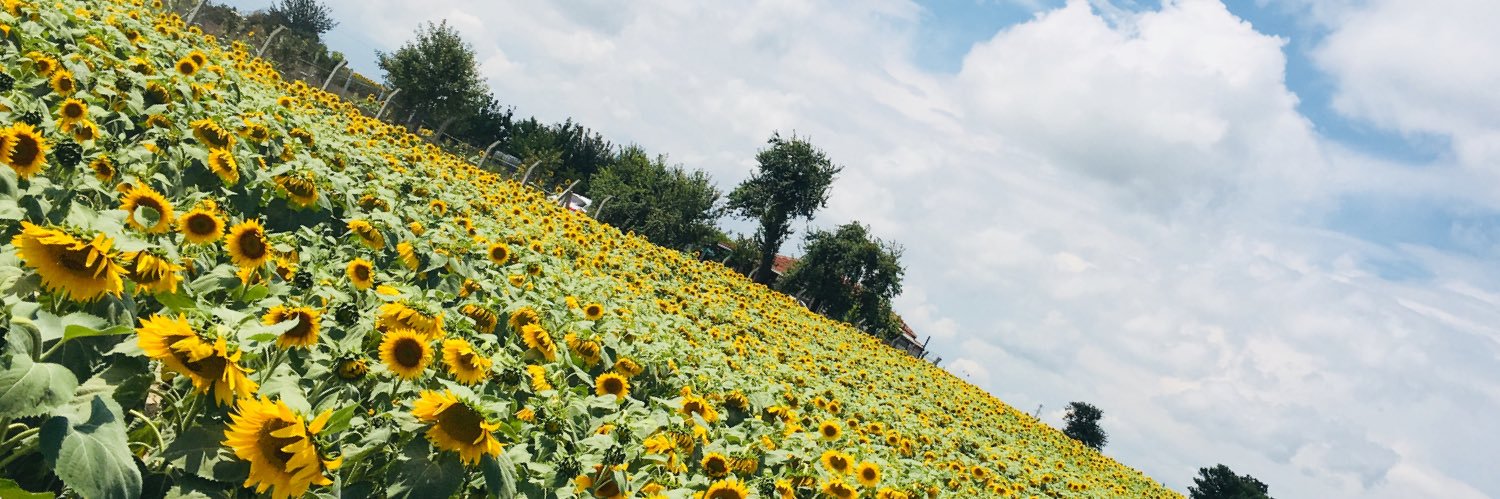 TnsGzl's profile banner image