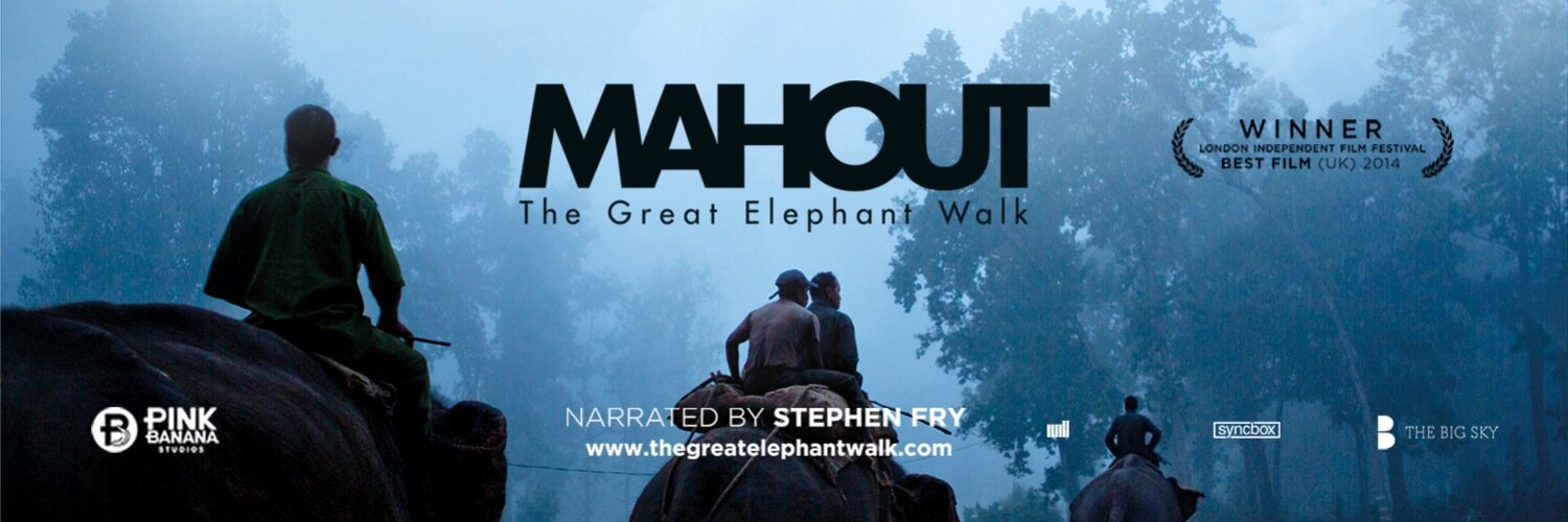MahoutFilm's profile banner image