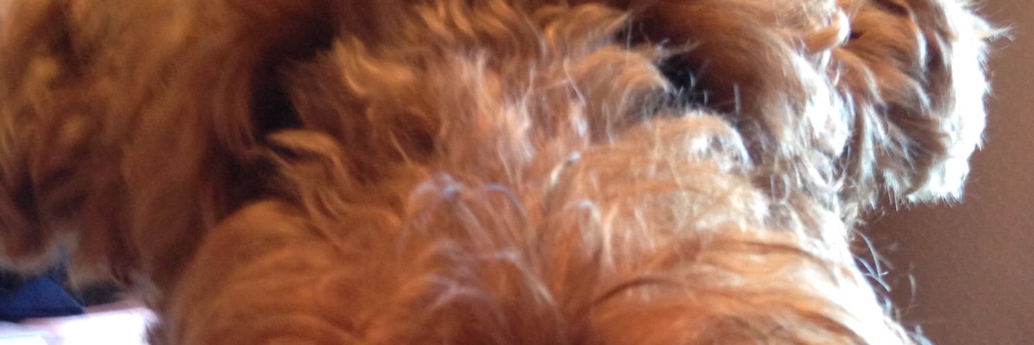 BarrySmith1970's profile banner image