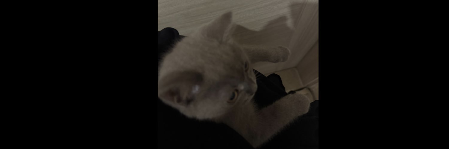R766x_'s profile banner image