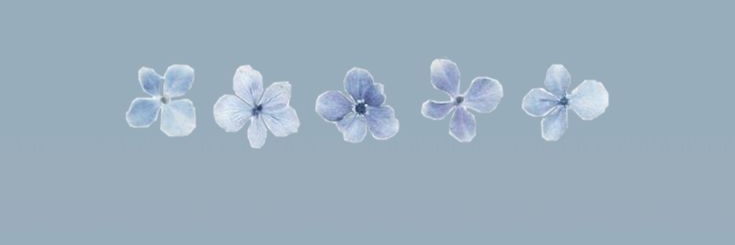 EmiNicole22's profile banner image
