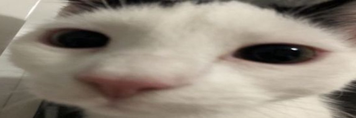 iArround's profile banner image