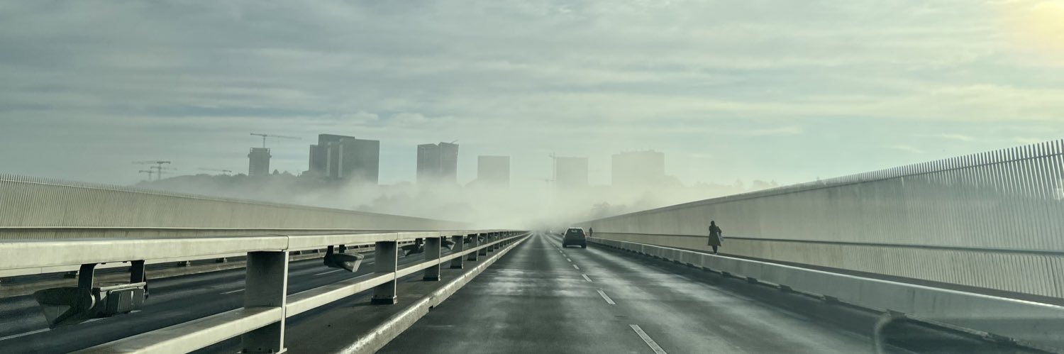 Stephanie Bodoni banner