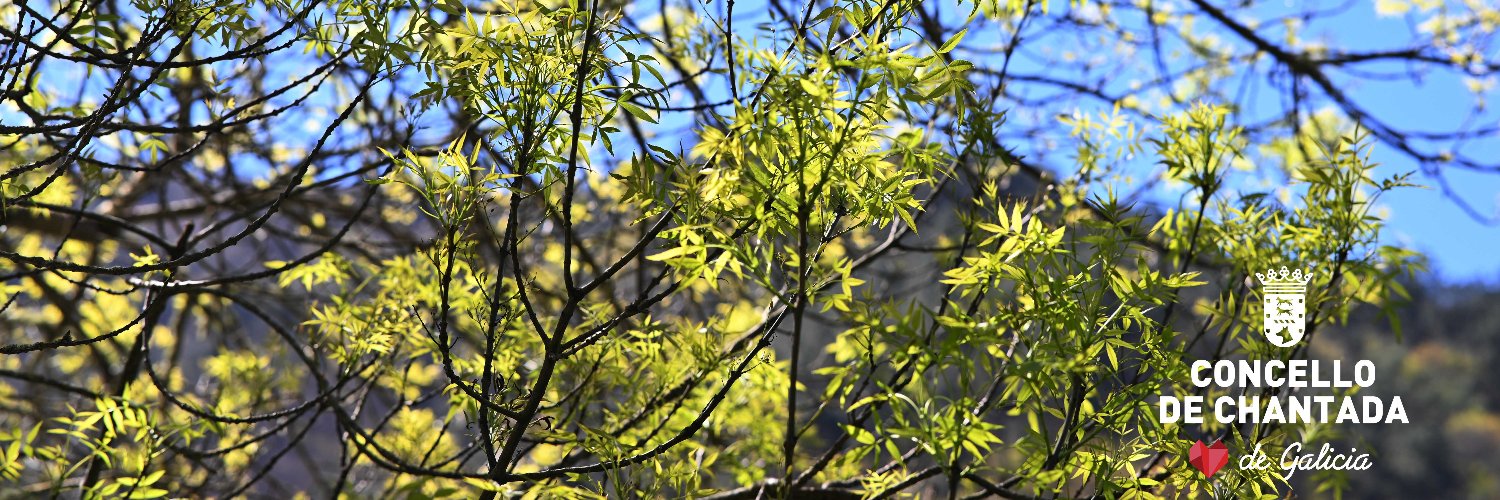 Chantada Concello banner