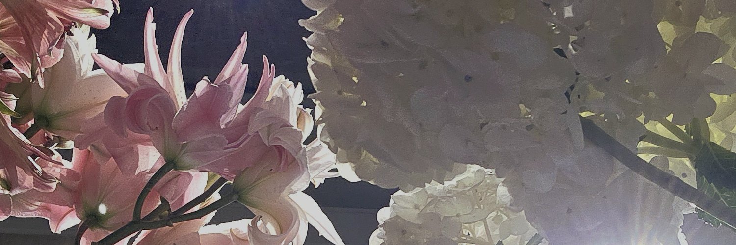 ppaucchann's profile banner image